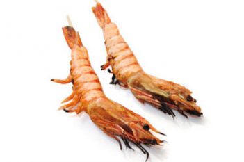 Gambas